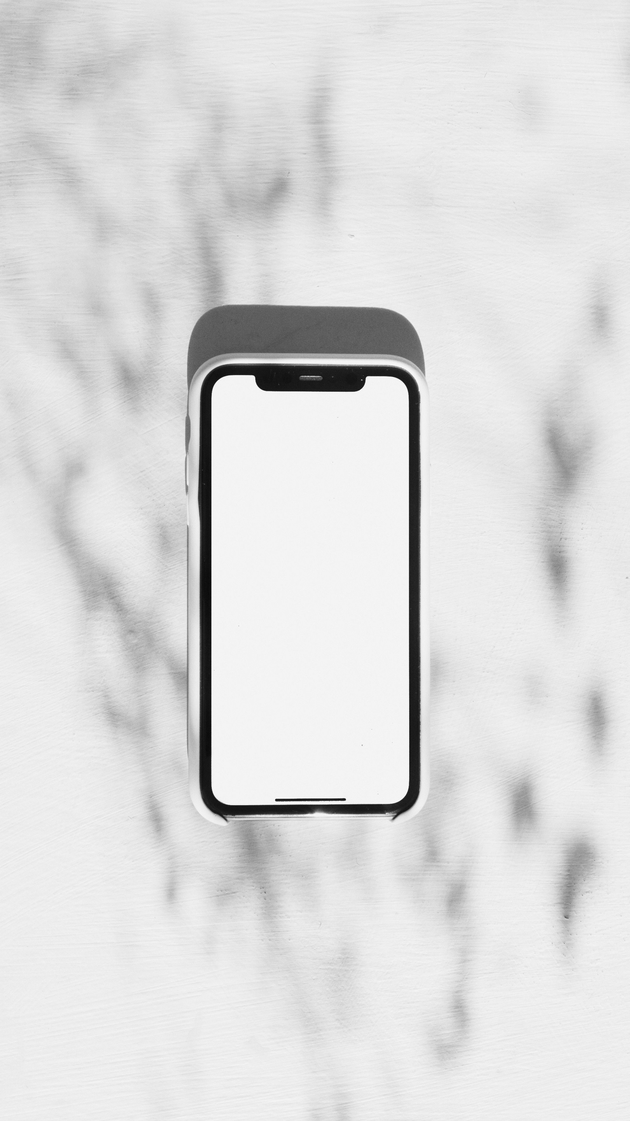Главный экран проекта TechMarket